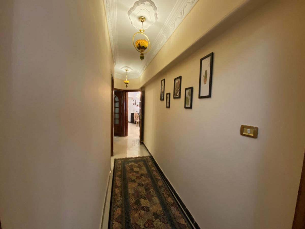 Sunny 2br In Maadi Apartment